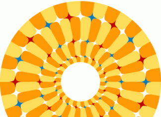 Ilusion optica. Adelante y atras.