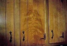 Pareidolia. Un caso reciente de ilusion optica.