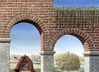 Ilusiones opticas. Jos de Mey