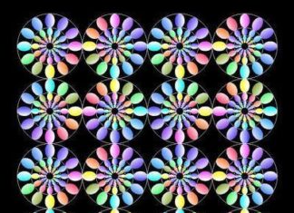 Ilusion optica.Kitaoka