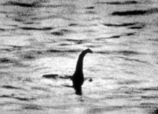 Ahora se puede buscar a Nessie por Internet