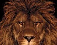 León y ratón