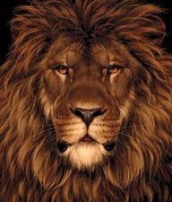 León y ratón