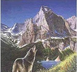 Lobos