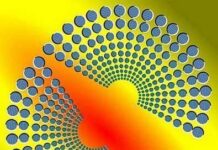 Ilusion optica.¿ Movimientos opuestos?