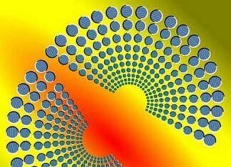 Ilusion optica.¿ Movimientos opuestos?