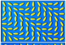 Ilusiones flotantes de Kitaoka