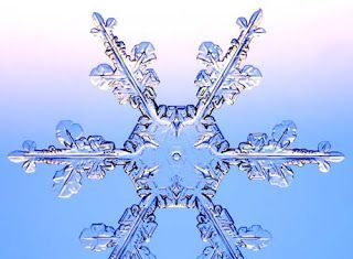 Efecto de bola de nieve en tu blog