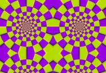 Nueva ilusion optica rotatoria.