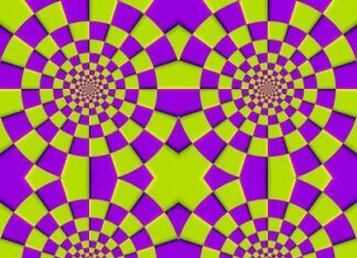 Nueva ilusion optica rotatoria.