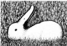 ¿Pato o conejo?