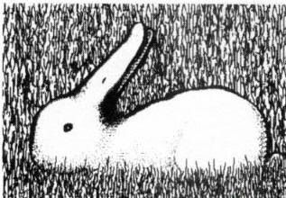 ¿Pato o conejo?