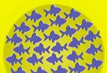 Ilusion optica. Peces que no se mueven