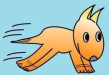 Ilusiones ópticas de Miwa Miwa