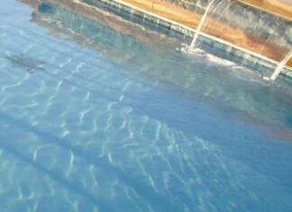 Ilusiones opticas. Vida marina en tu piscina.