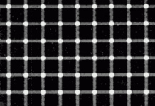 Puntos negros