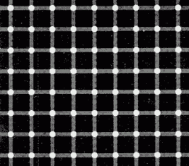 Puntos negros