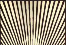 Ilusion optica. ¿Puedes intuir la Mona Lisa?