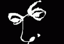 Rostro embustero