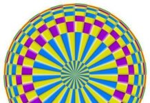 Ilusion optica.Diana giratoria