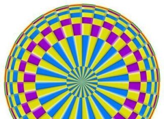 Ilusion optica.Diana giratoria