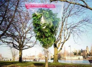 Ilusion optica aplicada a la publicidad