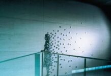 Sombras e ilusiones