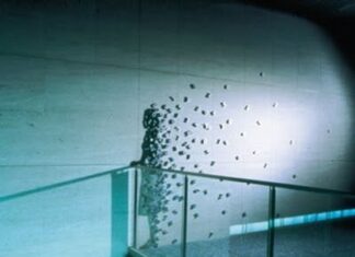 Sombras e ilusiones