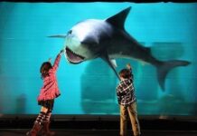 Nueva pantalla 3D sin gafas es la más grande del mundo