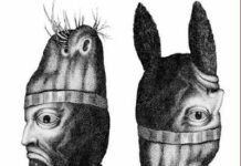 Ilusiones opticas.Efectos muy conocidos, las imagenes , no tanto
