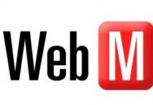 Free Software Foundation apoya WebM