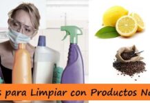 LIMPIAR con Ingredientes NATURALES ¡Abandona los DETERGENTES Químicos! Ingredientes Naturales para Limpiar