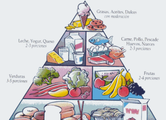 La pirámide alimenticia