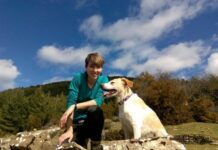 Dog Vivant, Ocio Compartido con Tu Mascota Comparte tu Tiempo de Ocio con tu Mascota