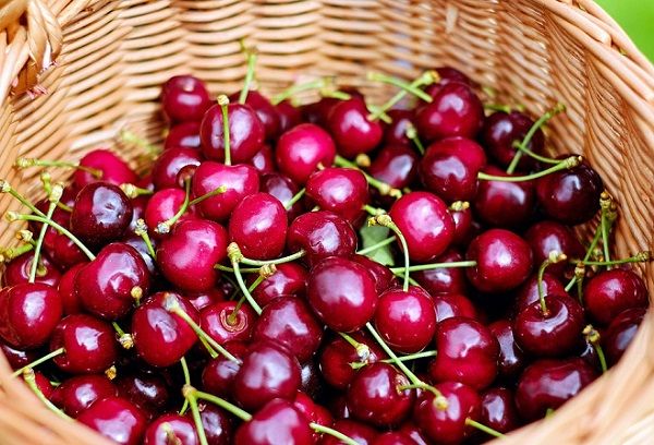 10 Beneficios de las Cerezas para la Salud