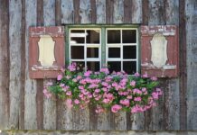 Cómo Refrescar tu Casa sin Usar Aire Acondicionado Cómo Refrescar tu Casa sin Usar Aire Acondicionado