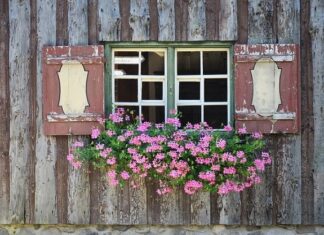 Cómo Refrescar tu Casa sin Usar Aire Acondicionado Cómo Refrescar tu Casa sin Usar Aire Acondicionado
