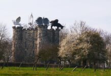 5 CASTILLOS Curiosos Construidos por una Persona Castillos Curiosos