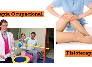 FISIOTERAPIA y TERAPIA OCUPACIONAL ¿Diferencias y Similitudes? Terapia Ocupacional y Fisioterapia