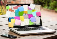 Cinco Efectos Negativos de Mentir en el Currículum Cinco Efectos Negativos de Mentir en el Currículum