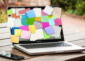 Cinco Efectos Negativos de Mentir en el Currículum Cinco Efectos Negativos de Mentir en el Currículum