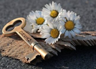 Conoce 7 datos curiosos sobre los sueños que te asombrarán curiosidades sobre los sueños