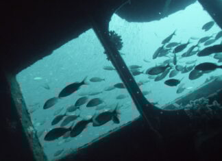 El misterioso naufragio en CAROLINA DEL NORTE