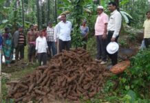 HALLAN MILES DE COHETES del siglo XVIII sin disparar