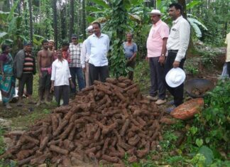 HALLAN MILES DE COHETES del siglo XVIII sin disparar