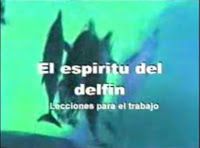 Trabajo en Equipo, delfines