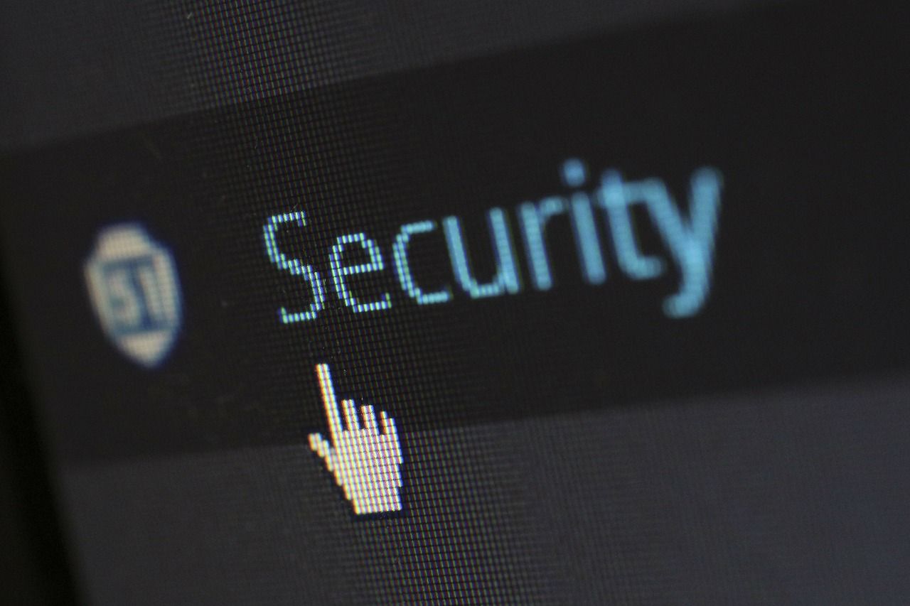 Seguridad en INTERNET