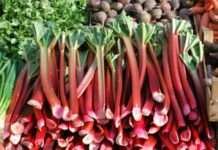 5 ALIMENTOS VENENOSOS alrededor del mundo