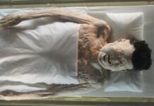 Misterios de la historia: LA MOMIA XIN ZHUI