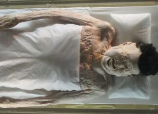 Misterios de la historia: LA MOMIA XIN ZHUI